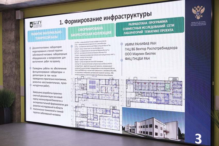 Кафедра семейной медицины НИУ «БелГУ» отчиталась о реализуемых проектах