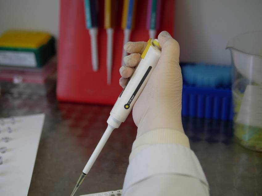 4 февраля – Всемирный день борьбы против рака События НИУ «БелГУ» 4 февраля – всемирный день борьбы против рака