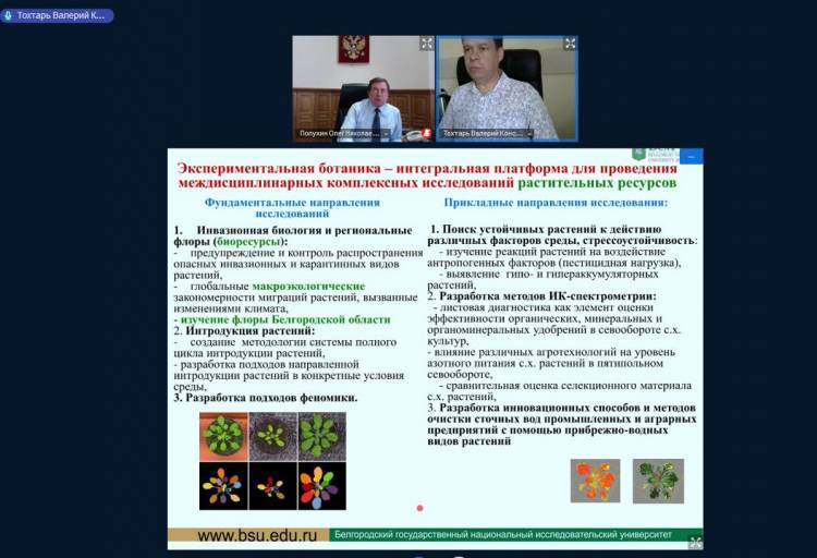 Реализацией проектов в сфере экобиотехнологий займутся в лаборатории экспериментальной ботаники 