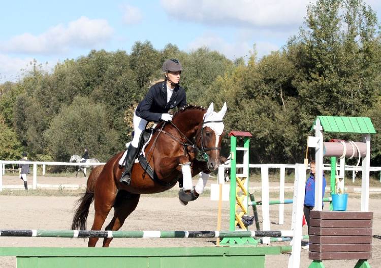 События НИУ «БелГУ» кубок губернатора белгородской области по конному спорту завоевала представительница ниу «белгу» 