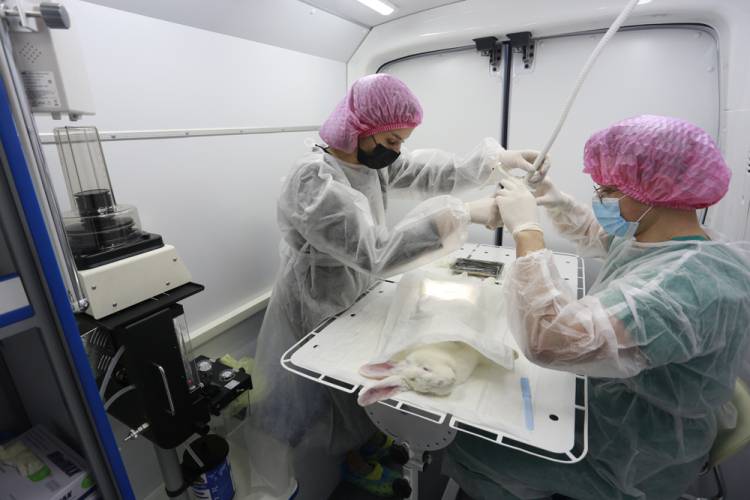 A high-tech mobile veterinary laboratory obtained by BelSU