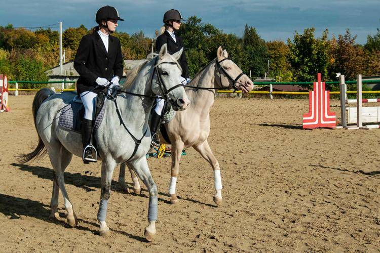 More Success for our Equestrian School