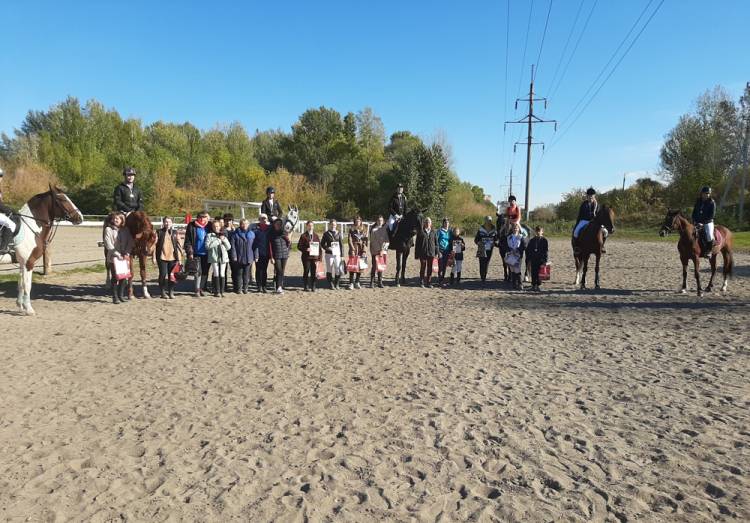 События НИУ «БелГУ» осенний кубок любителей конного спорта