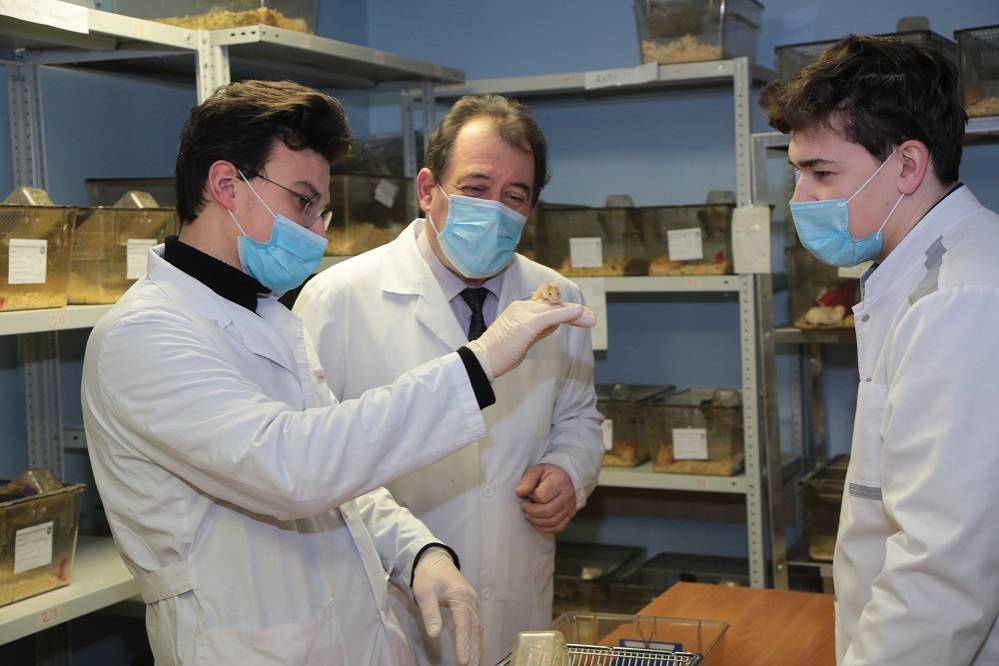 События НИУ «БелГУ» трансгенные мыши помогут разработать новые лекарства от коронавируса