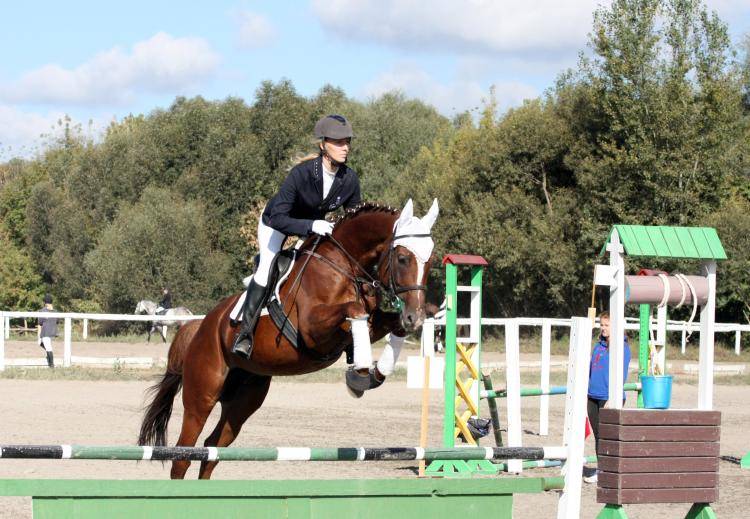 События НИУ «БелГУ» университет проведёт соревнования по конному спорту 