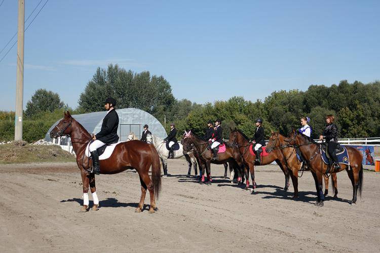 События НИУ «БелГУ» кубок губернатора белгородской области по конному спорту