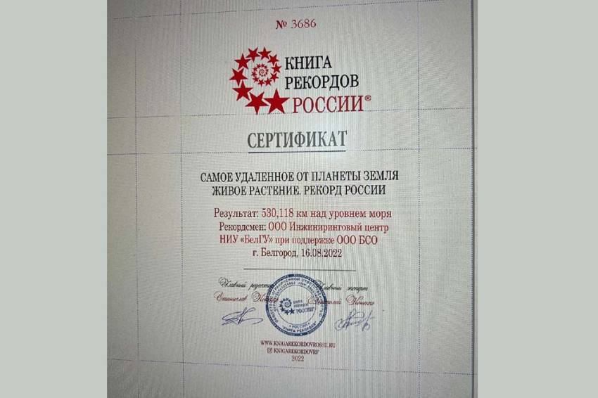 События НИУ «БелГУ» запущенная в космос белгородскими учёными сирень установила рекорд россии