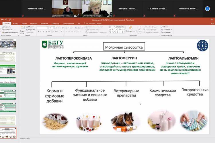 Проекты учёных НИУ «БелГУ» обеспечат инновационное развитие региона События НИУ «БелГУ» проекты учёных ниу «белгу» обеспечат инновационное развитие региона