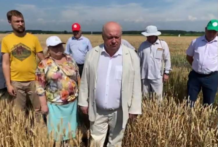 Продовольственная безопасность страны: вызов учёным События НИУ «БелГУ» продовольственная безопасность страны: вызов учёным