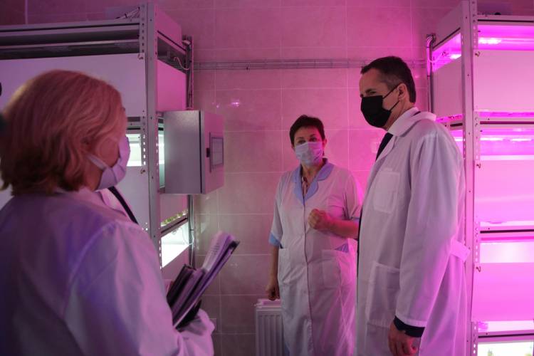 Belgorod region can be proud of BelSU researchers  Belgorod region can be proud of BelSU researchers