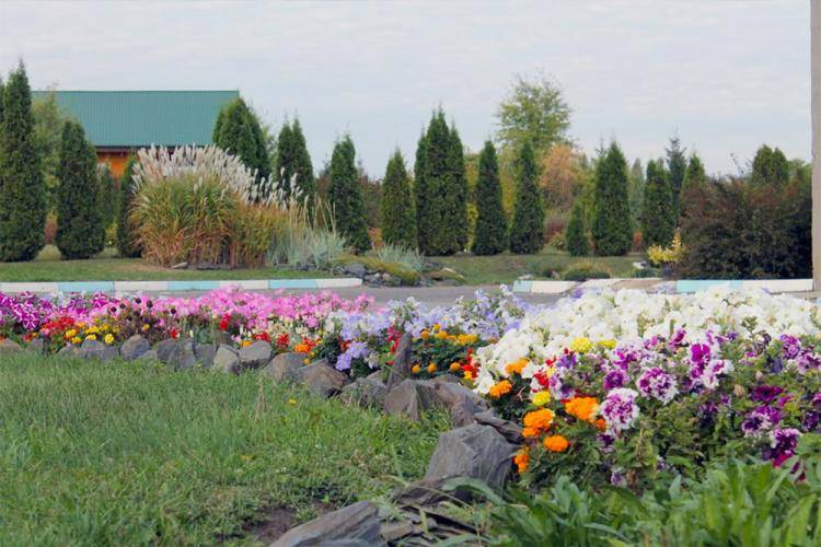 Ботанический сад белгород фото Ботанический сад белгород фото