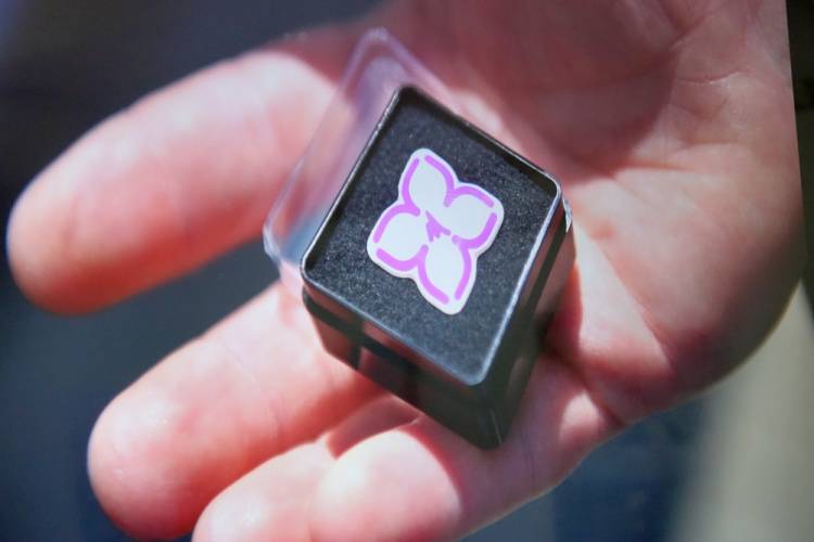 The Belgorod Lilac trademark is registered. The Belgorod Lilac trademark is registered.