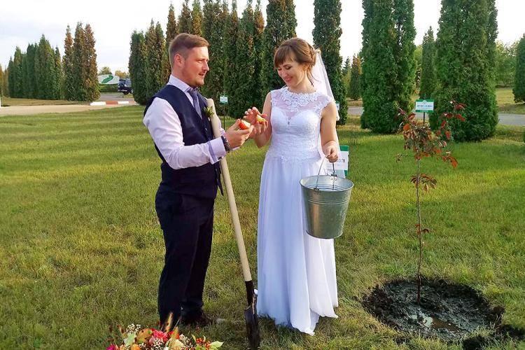 Trees of love in the Botanical garden Trees of love in the Botanical garden