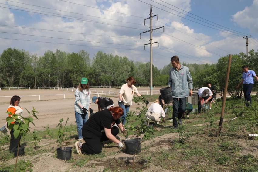 Коллектив Белгородского госуниверситета принял участие в общегородском субботнике События НИУ «БелГУ» коллектив белгородского госуниверситета принял участие в общегородском субботнике