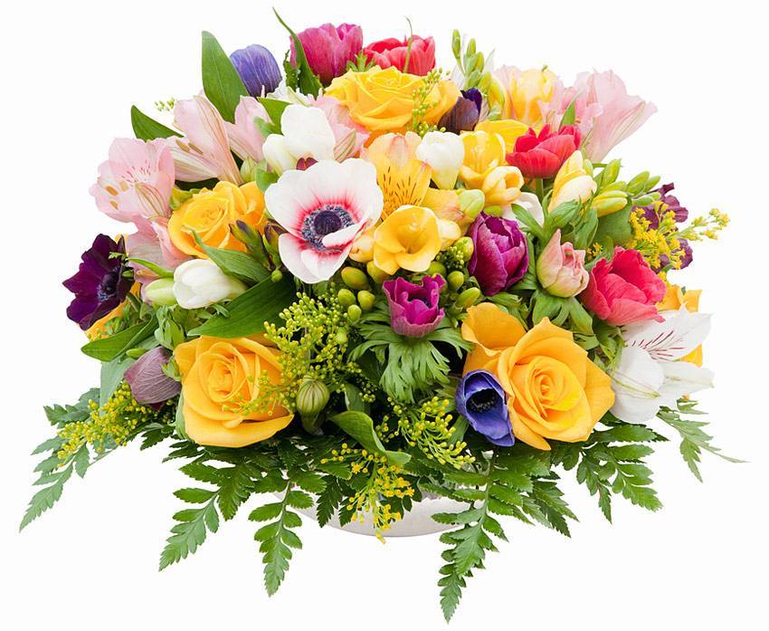 Поздравляем аспирантов и докторантов с победой в конкурсе на соискание именных стипендий Поздравления НИУ «БелГУ» Поздравляем аспирантов и докторантов с победой в конкурсе на соискание именных стипендий