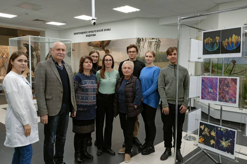 Выставка необычных микрофотографий открылась в НИУ «БелГУ»