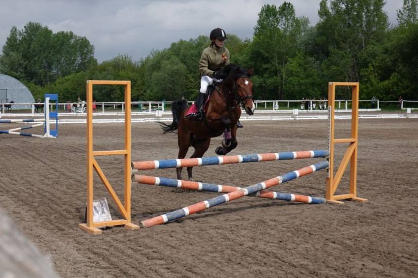 Соревнования по конному спорту состоялись в НИУ «БелГУ»