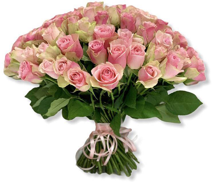 С Днём учителя! Поздравления НИУ «БелГУ» С Днём учителя!