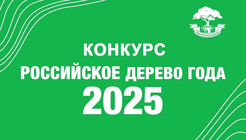 Конкурс «Российское дерево года» Объявления НИУ «БелГУ» конкурс «российское дерево года»