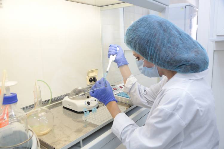 Исследованиями учёных-генетиков НИУ «БелГУ» заинтересовались аграрии страны События НИУ «БелГУ» исследованиями учёных-генетиков ниу «белгу» заинтересовались аграрии страны