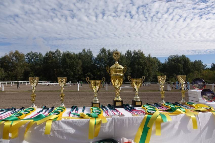 Спортсмены конноспортивной школы НИУ «БелГУ» – триумфаторы Кубка губернатора